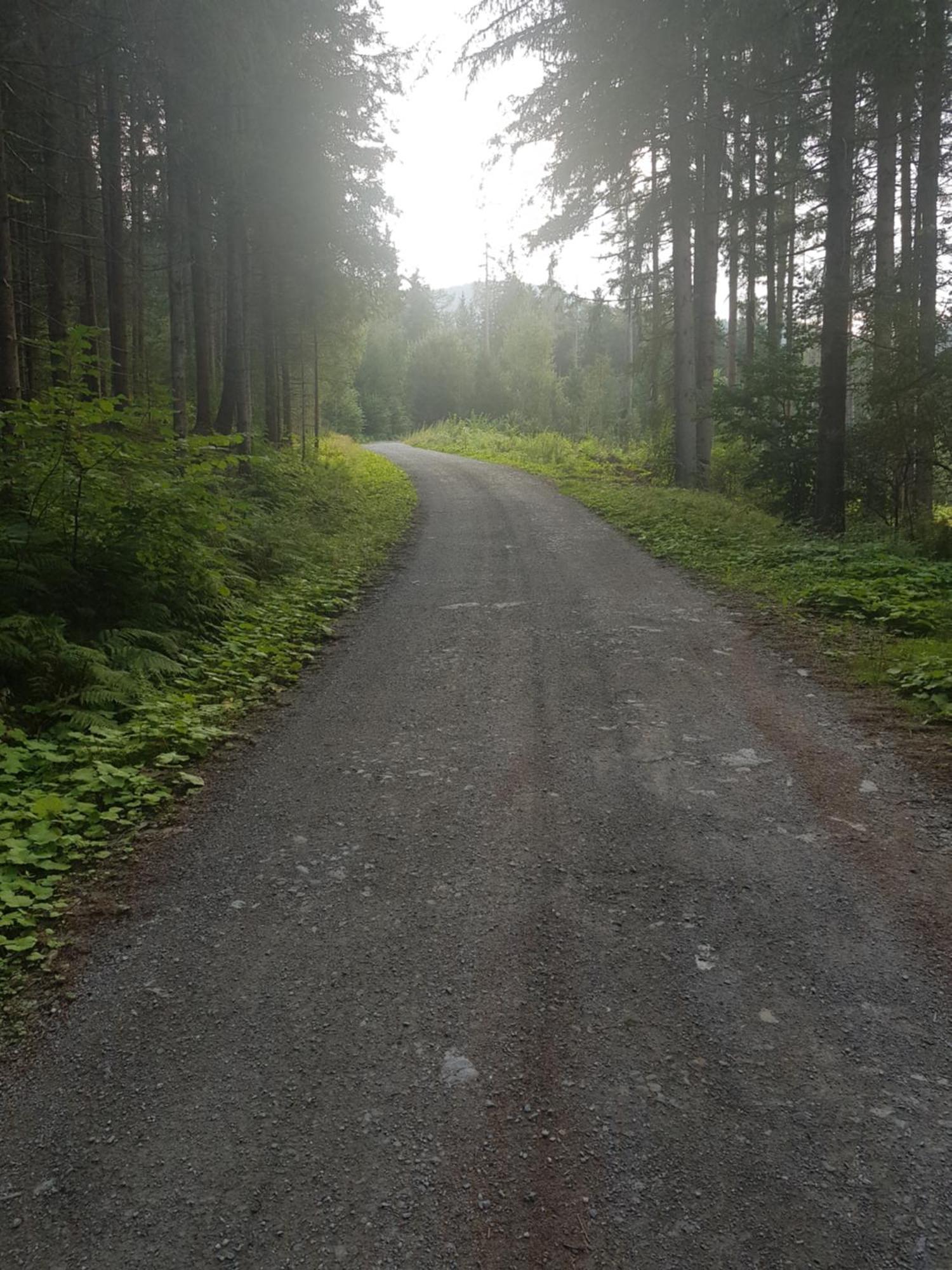Haus Estelle St. Lorenzen ob Murau Zewnętrze zdjęcie